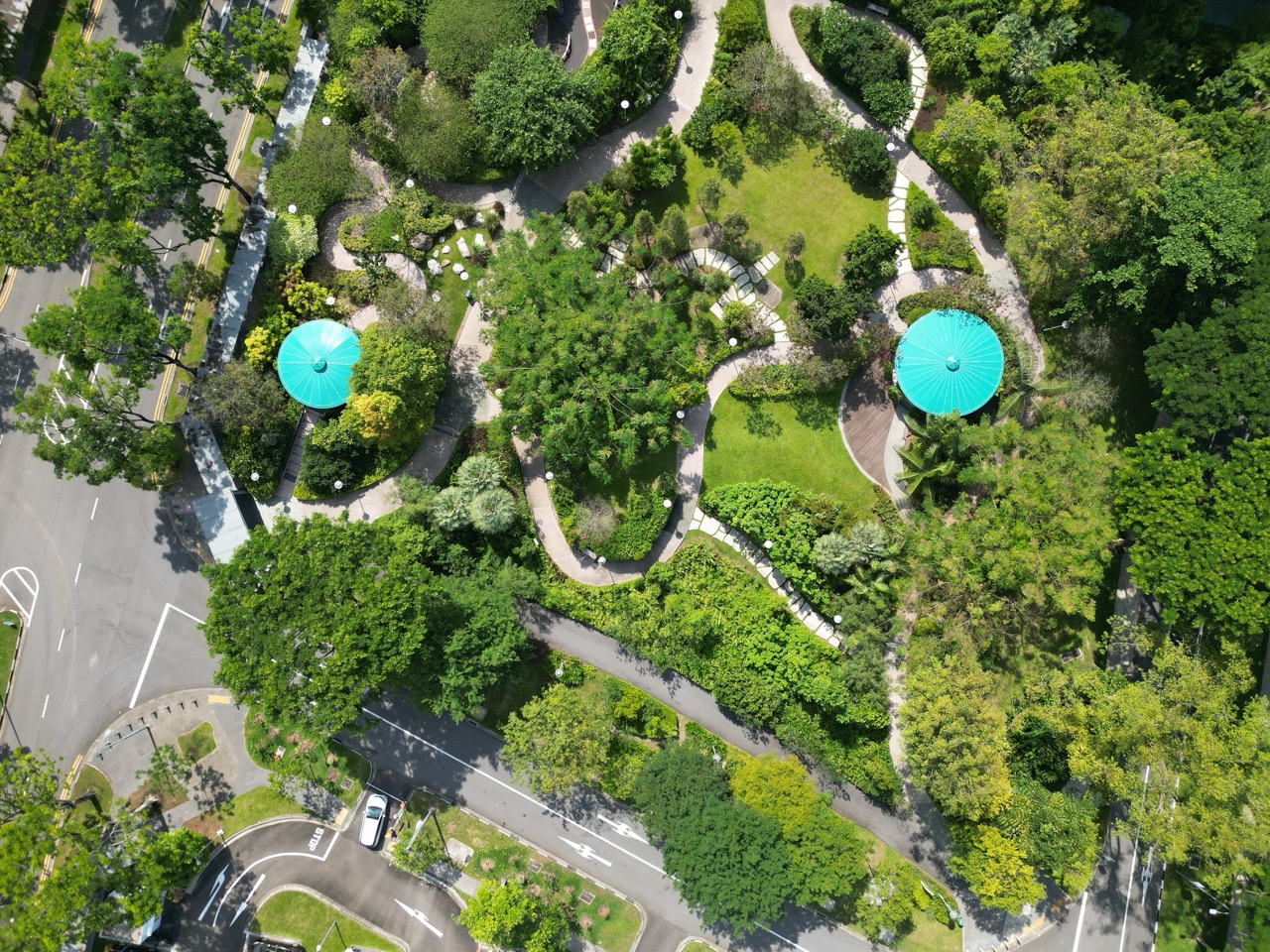 Site Garden View 2